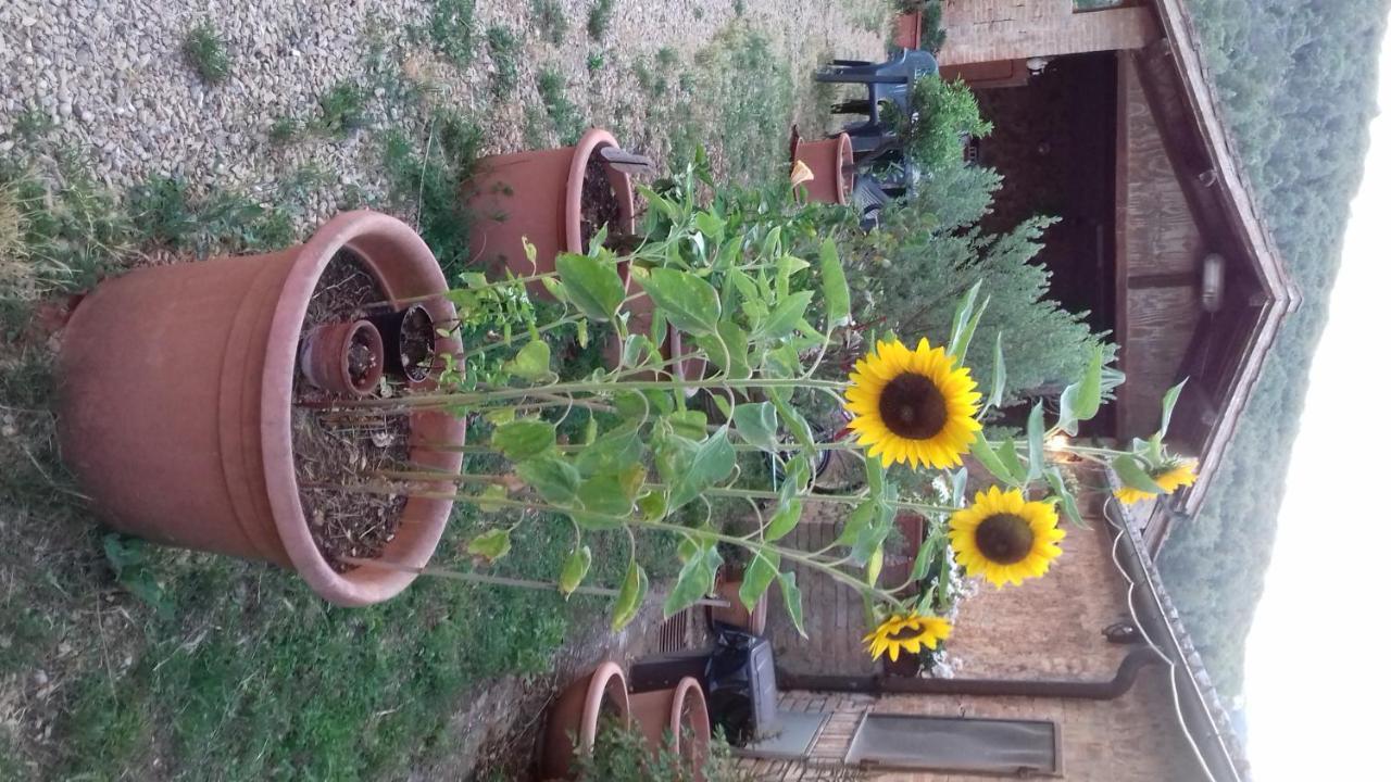 Podere Ficareto Farm Ancaiano Exterior photo